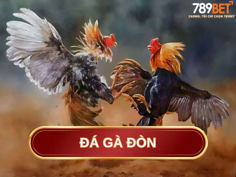 đá gà đòn